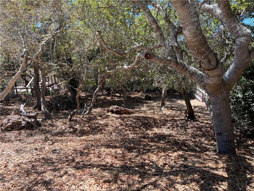 Photo of Listing #SC25186524