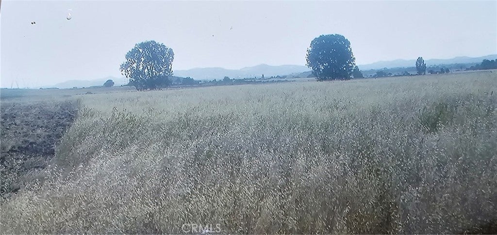 Photo of Listing #PW25136169