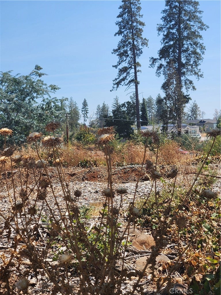 420 Simpson Ranch Road, Berry Creek