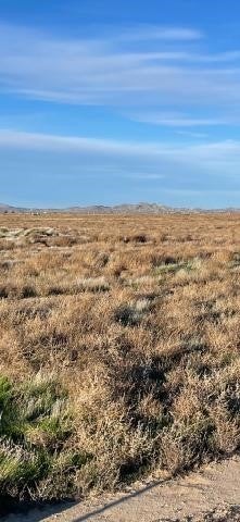 Photo of Listing #DW25187554