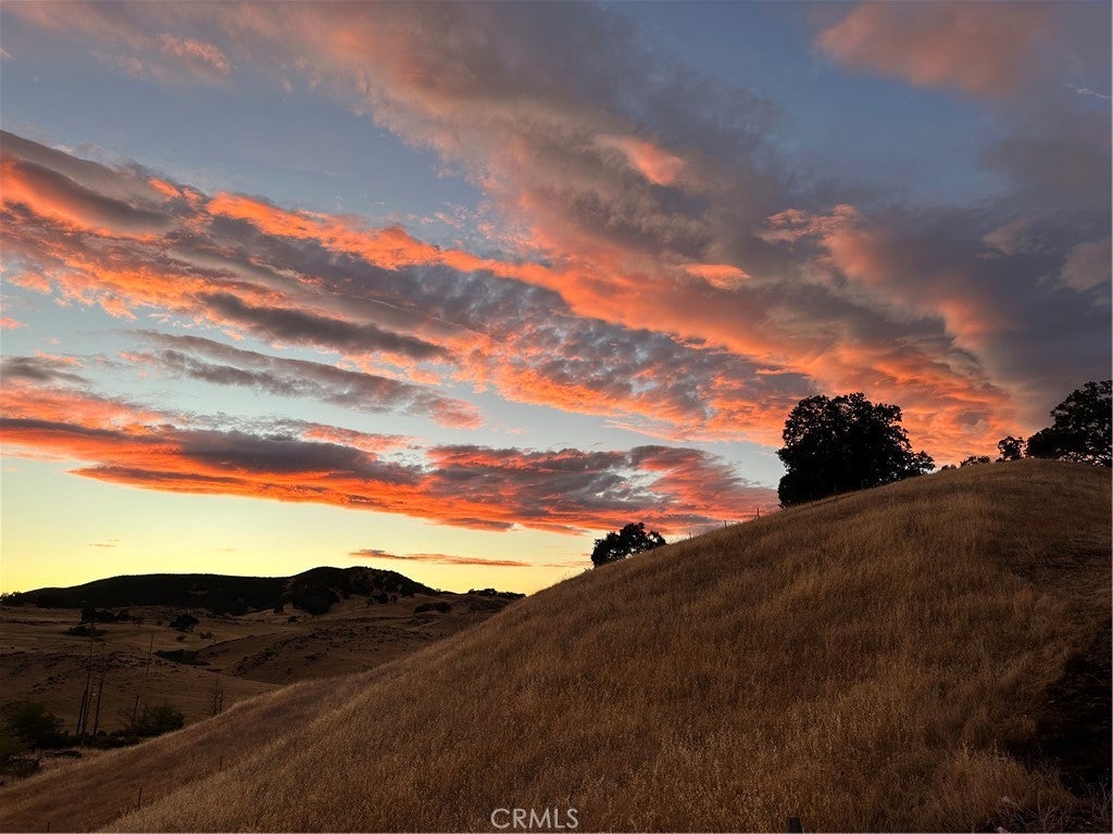 Photo of Listing #LC25185459