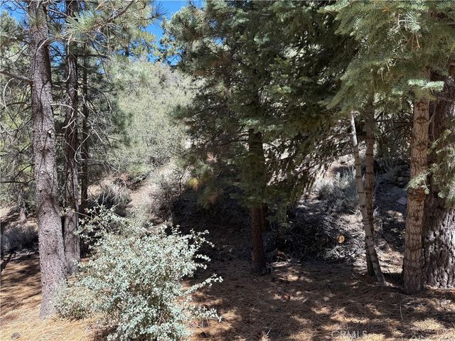 1420 Linden Drive, Pine Mountain Club