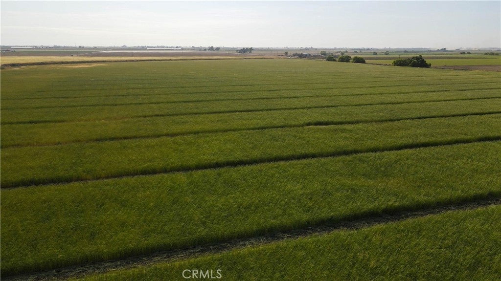 Photo of Listing #MC25187945