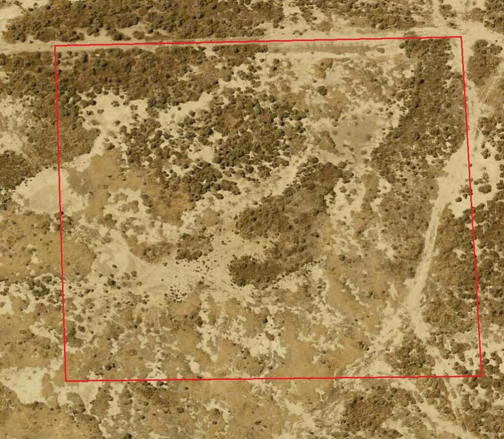 Photo of Listing #219134196DA