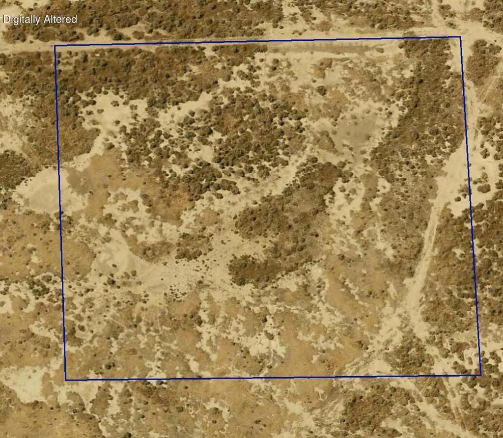 Photo of Listing #219134196DA