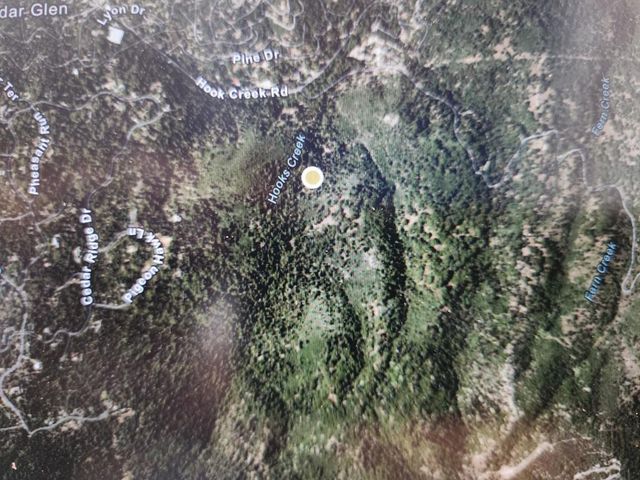 Hook Creek Rd, Cedar Glen