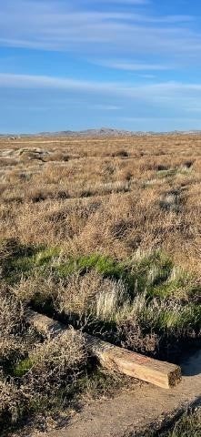 Photo of Listing #DW25189537