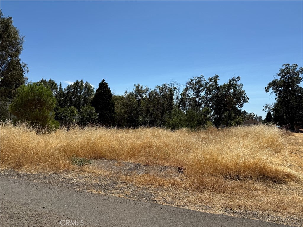 Photo of Listing #SN25189749