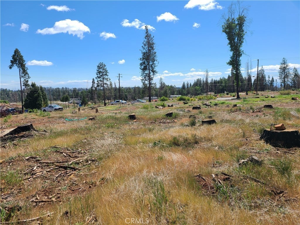 Photo of Listing #OR25189922