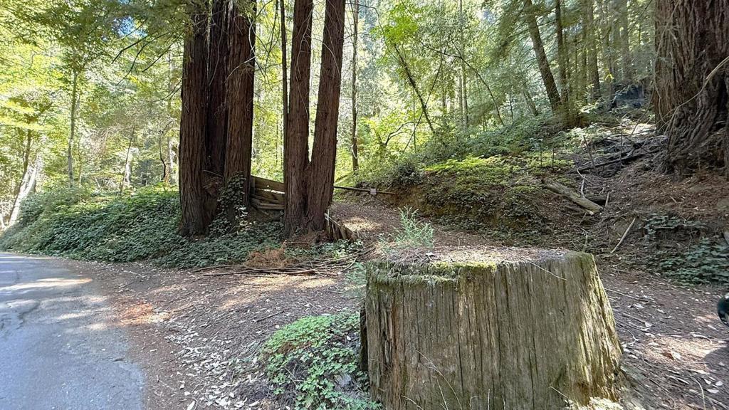 Photo of Listing #ML82019043