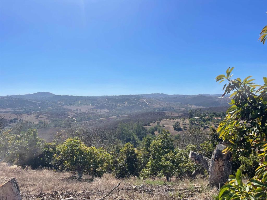 Photo of Listing #250037088SD