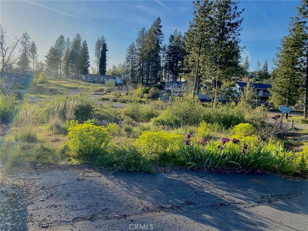 Photo of Listing #SN25190748