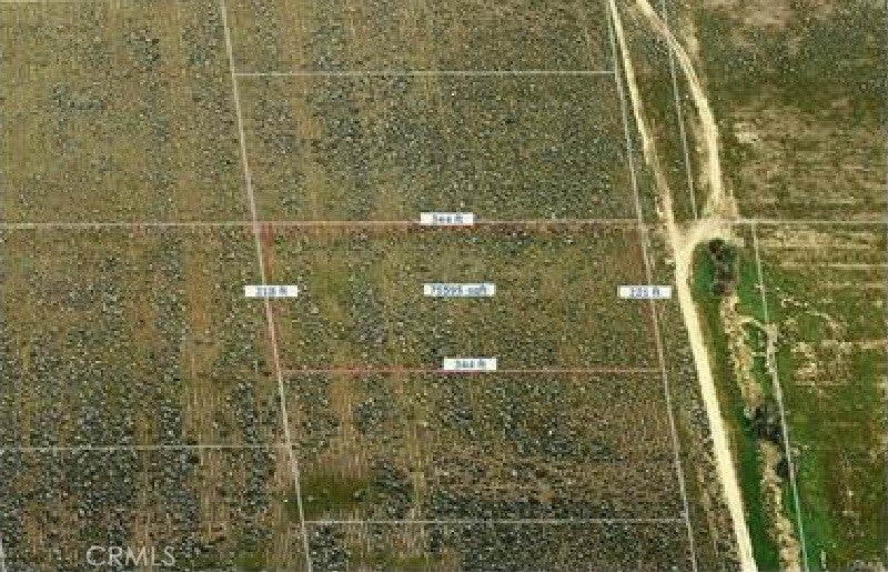 Photo of Listing #DW25185256