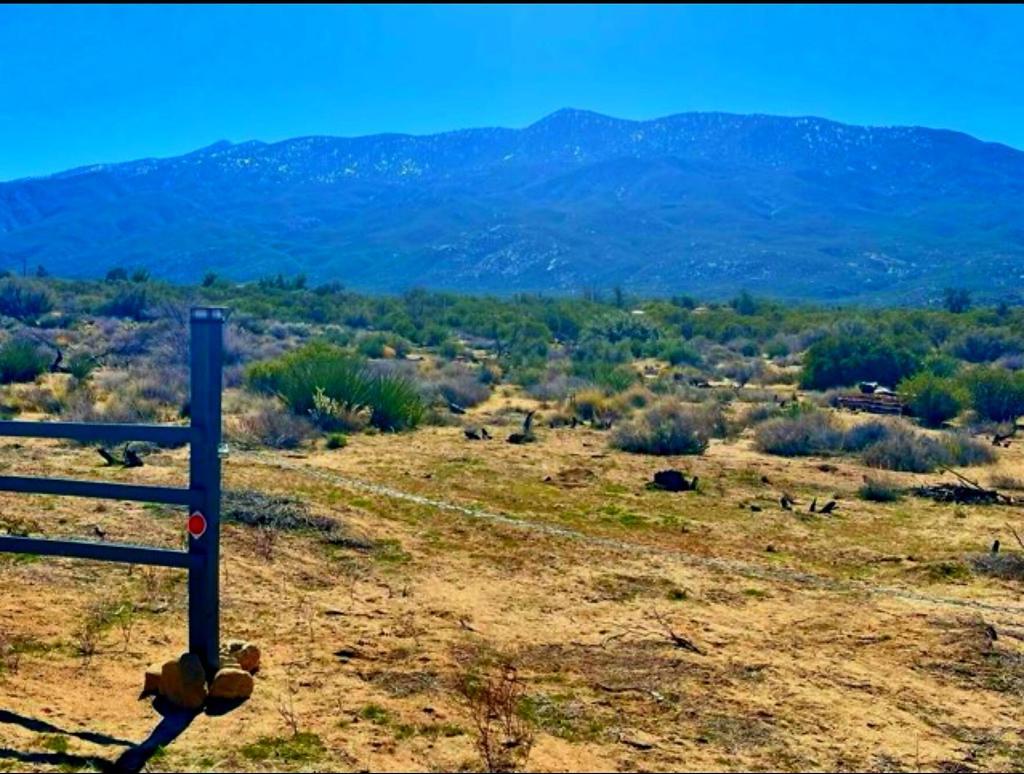 Photo of Listing #219134432DA