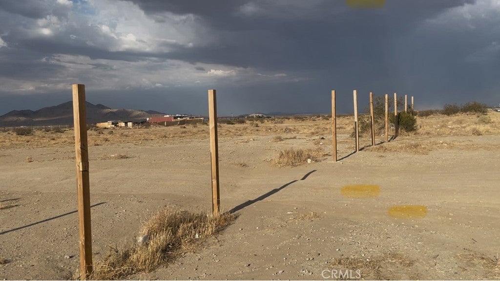 Photo of Listing #DW25192468