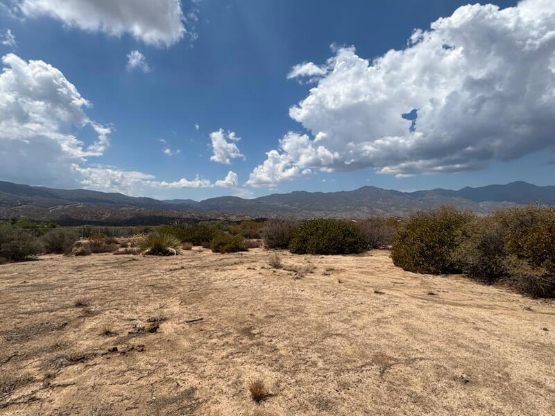 Photo of Listing #219134497DA