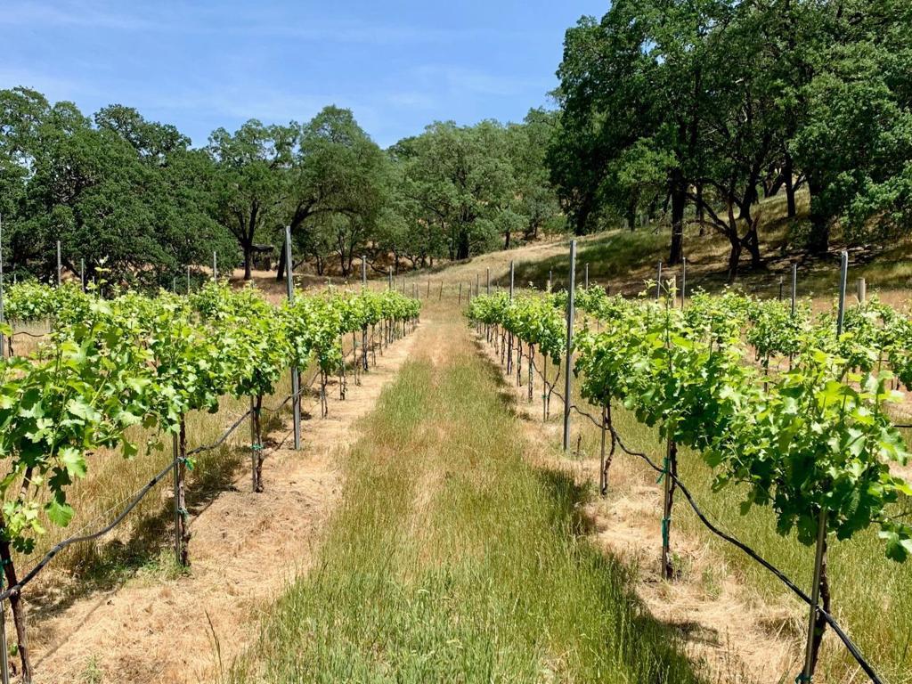 Photo of Listing #ML82019382