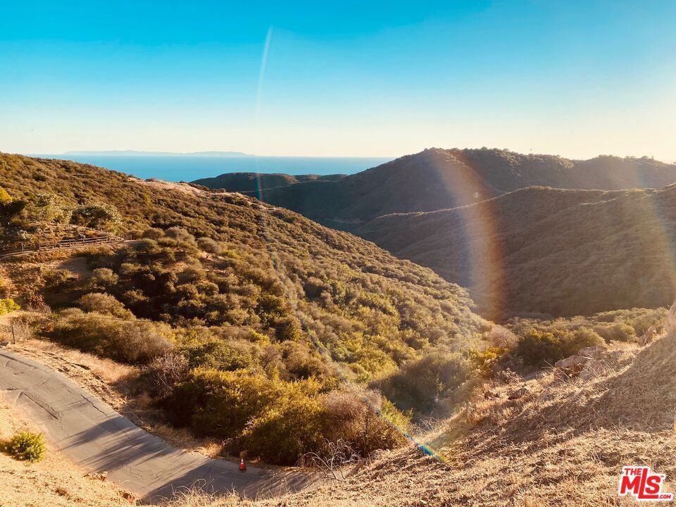 Photo of Listing #25584087