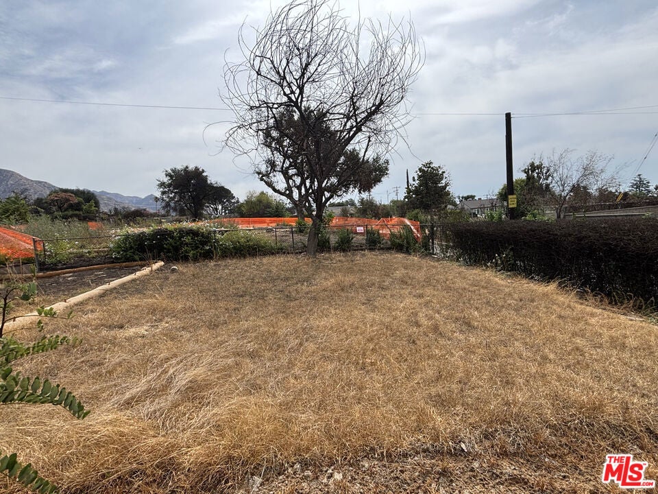 Photo of Listing #25584453