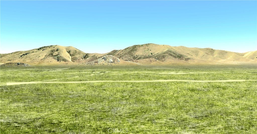 Photo of Listing #PI25195068