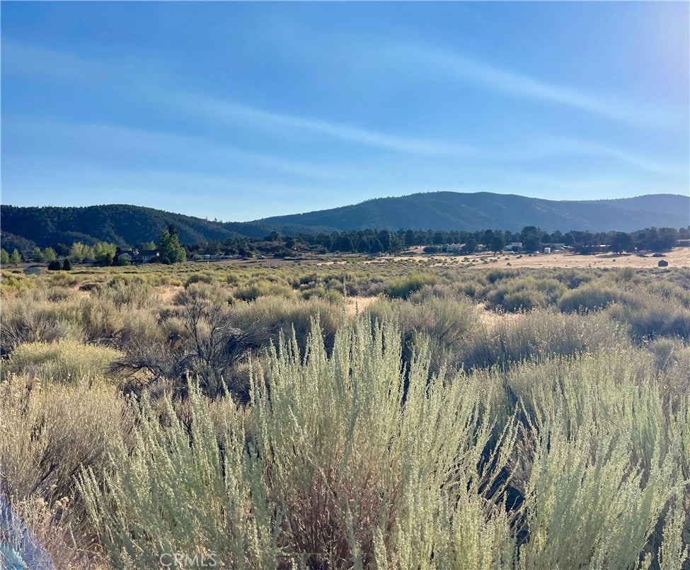 Photo of Listing #SR25195582