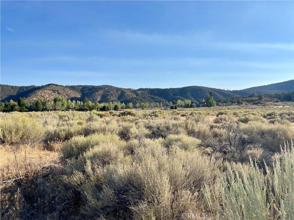 Photo of Listing #SR25195584