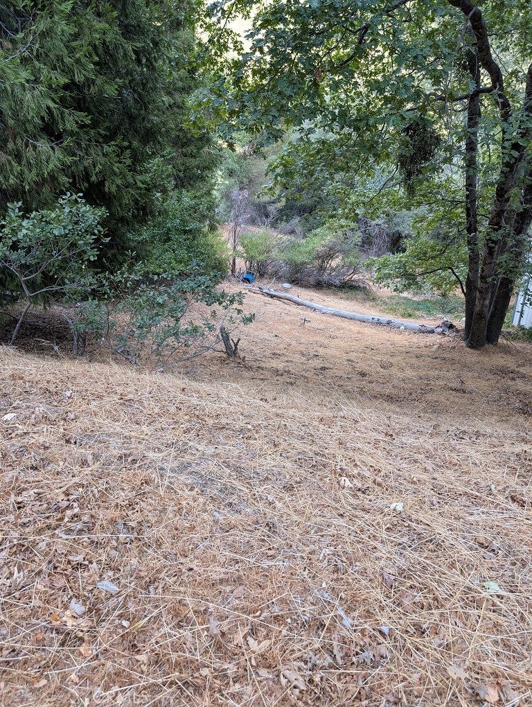 Photo of Listing #CV25196067