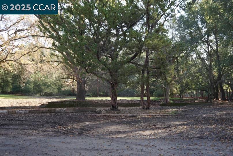 Photo of Listing #41110031