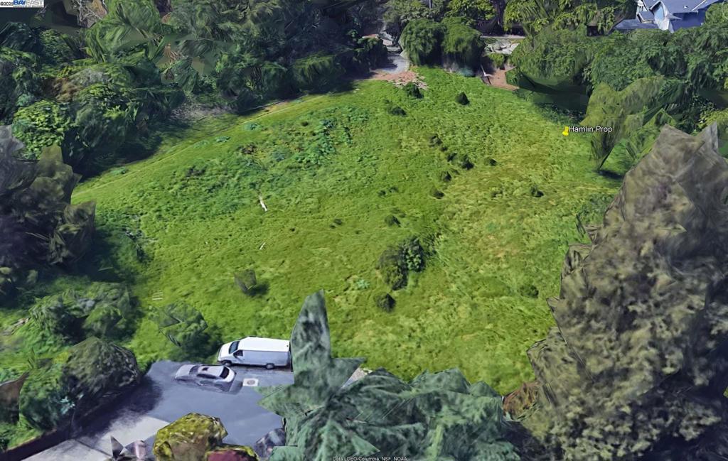 Photo of Listing #41110057