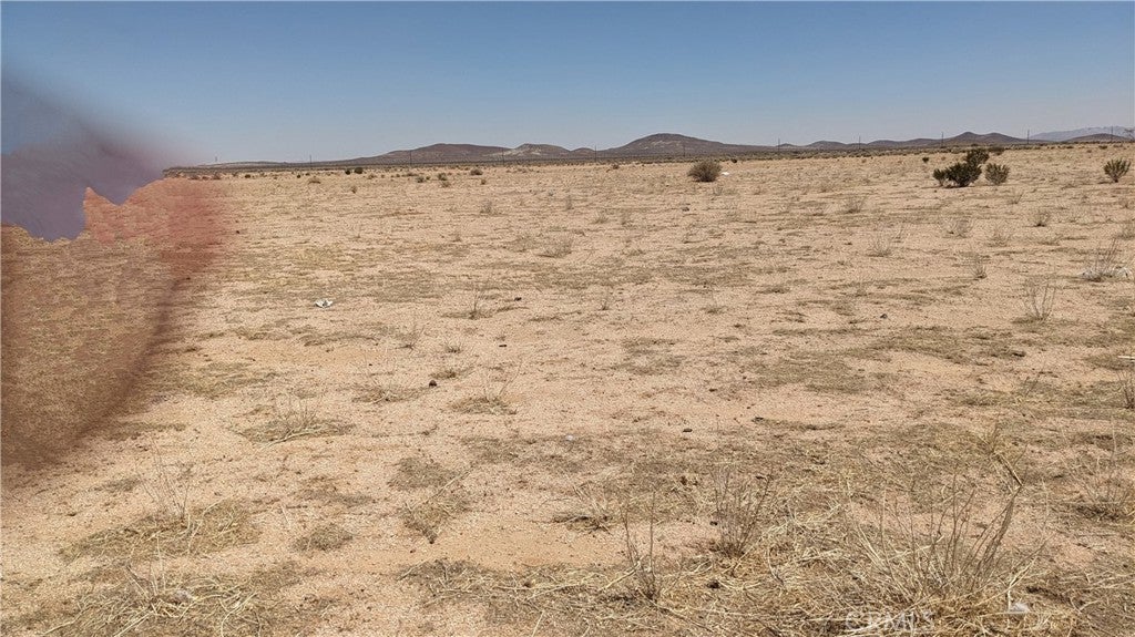 Photo of Listing #IG25175047