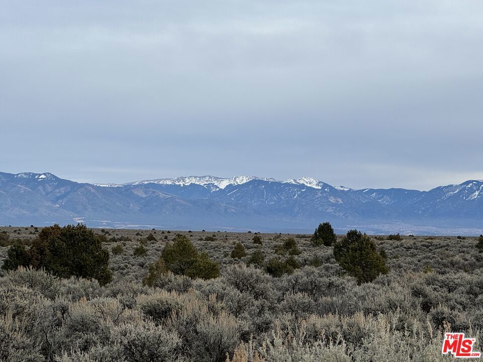 Photo of Listing #25585025