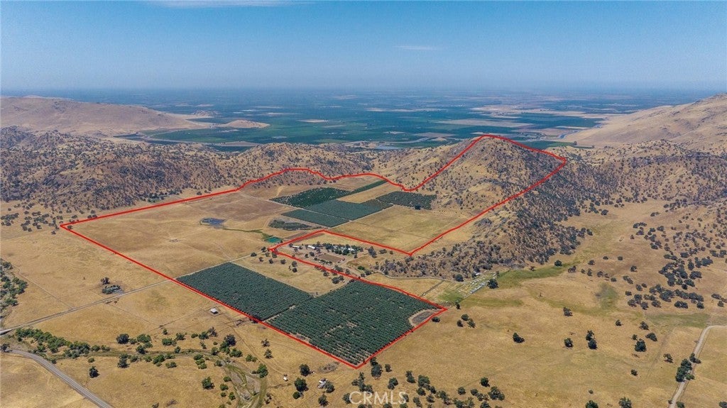 Photo of Listing #NS25197887