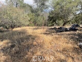 Photo of Listing #FR25198126