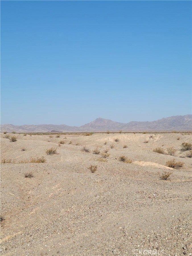 Photo of Listing #JT25199382