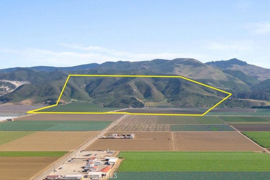 Photo of Listing #PI25199256