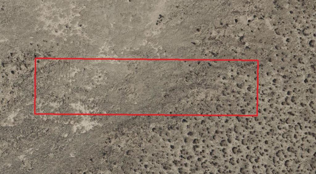 Photo of Listing #219134868DA