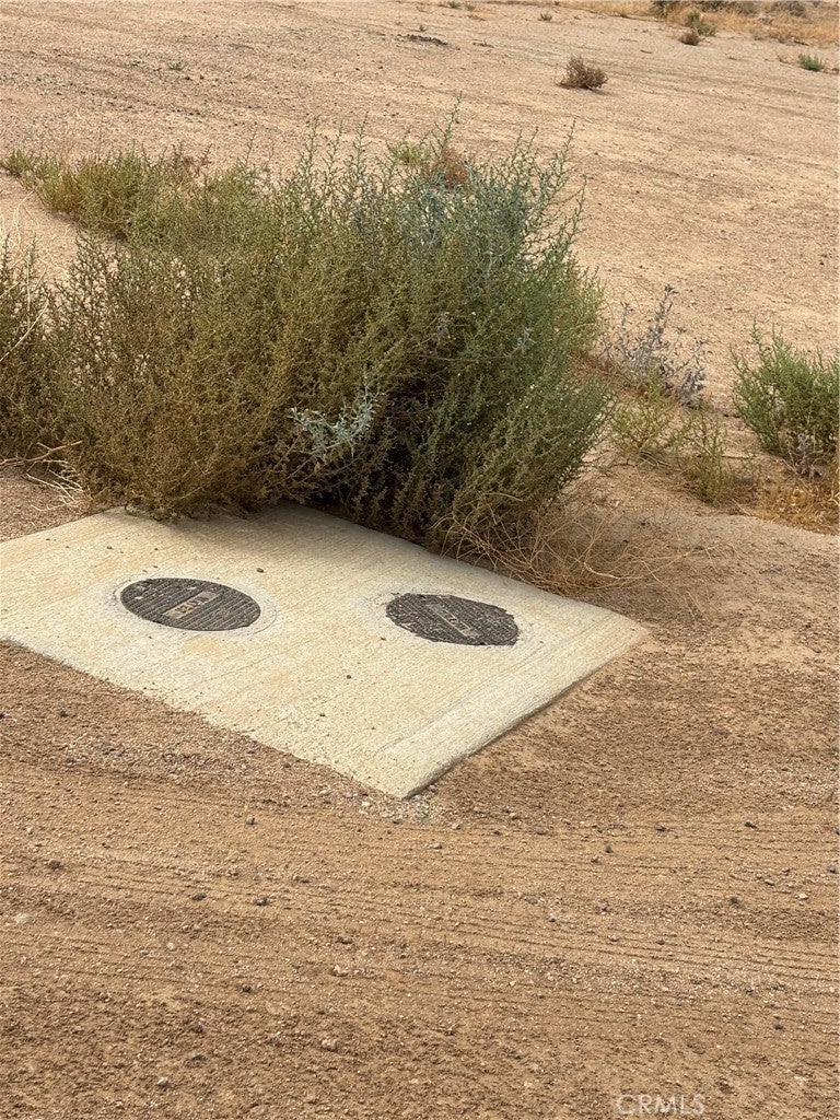 Photo of Listing #SR25199750