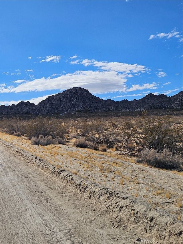 California Avenue, Joshua Tree