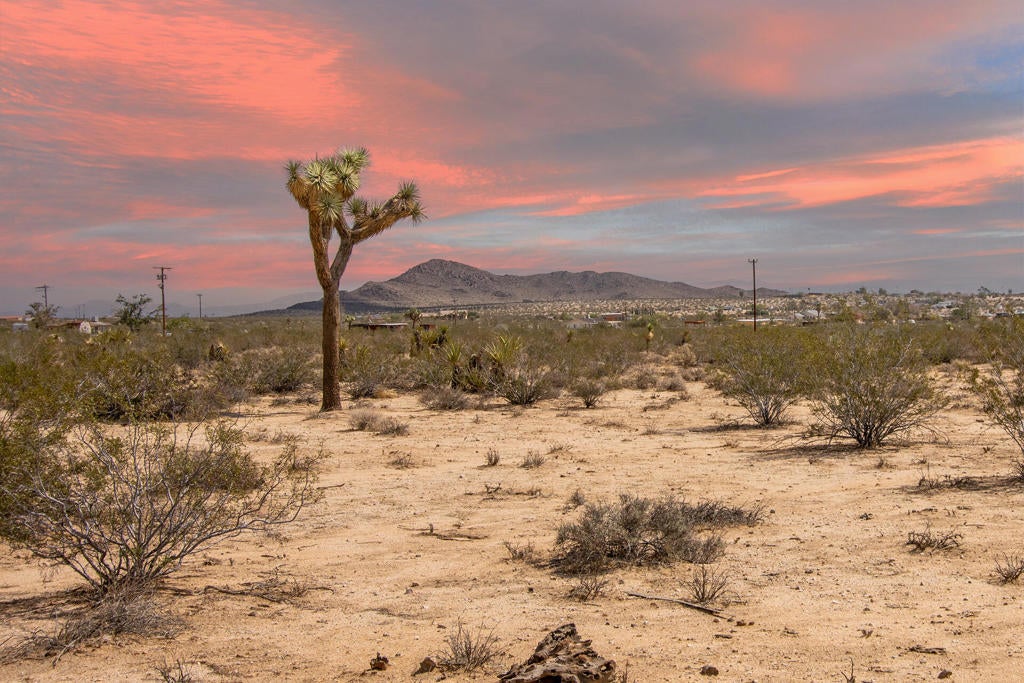 Photo of Listing #219134954PS