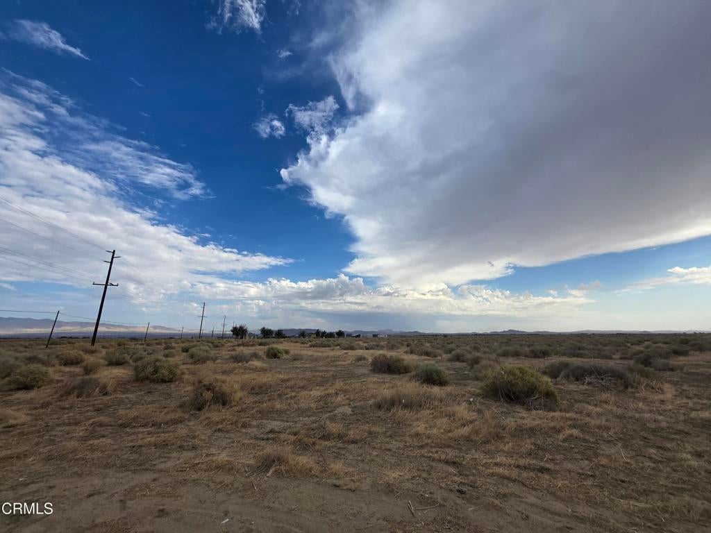 Photo of Listing #P1-24002