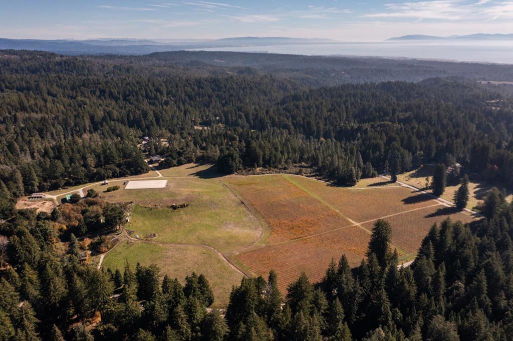 Photo of Listing #ML82020750