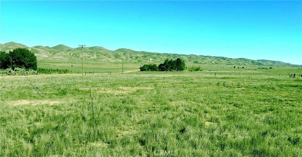 Photo of Listing #PI25203881