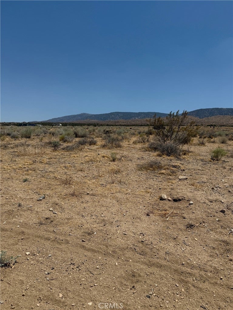 Photo of Listing #OC25204820