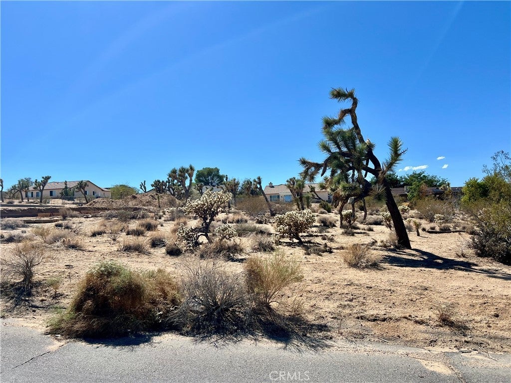Sunny Vista Road, Joshua Tree