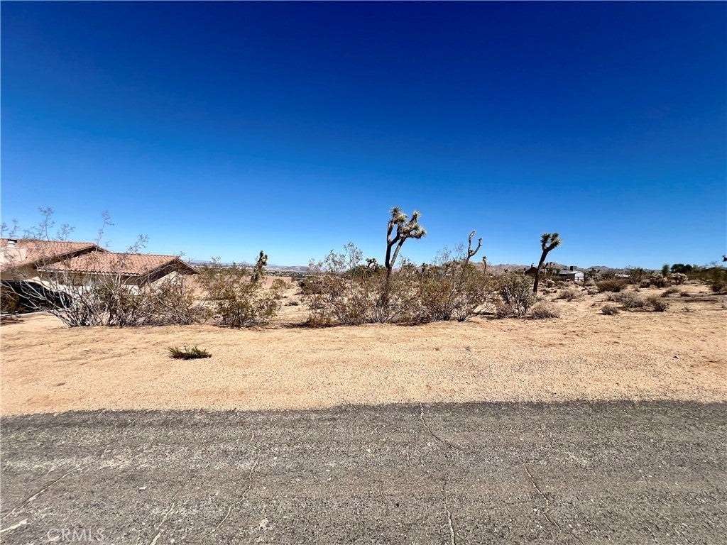 Torres Avenue, Joshua Tree