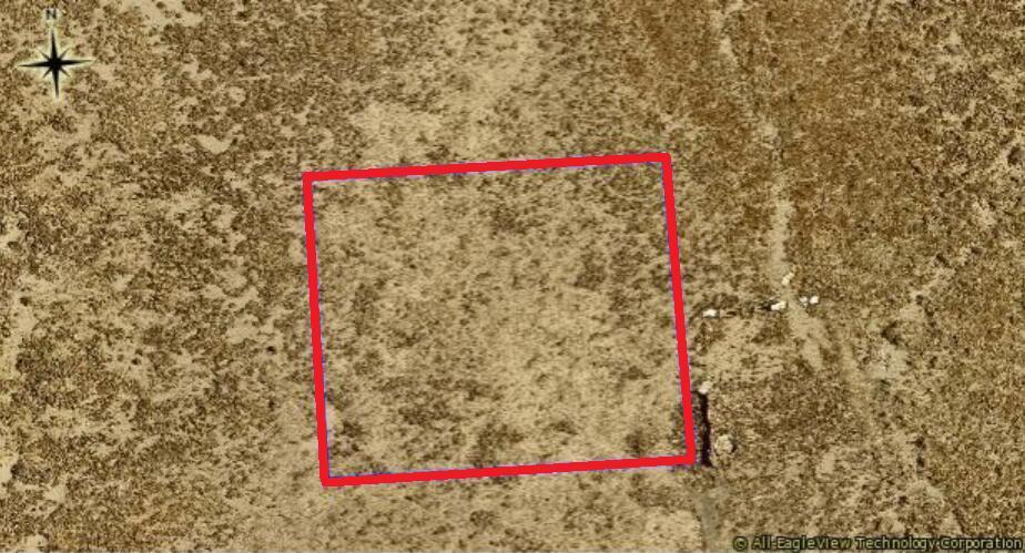 Photo of Listing #219135160DA