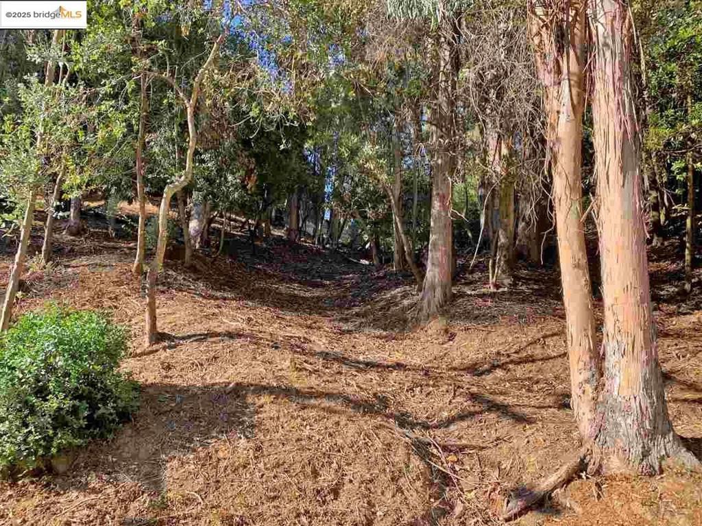 Photo of Listing #41111143