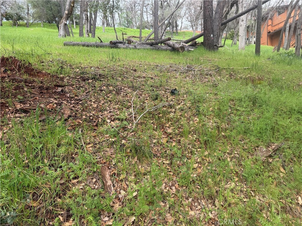 Photo of Listing #LC25206350