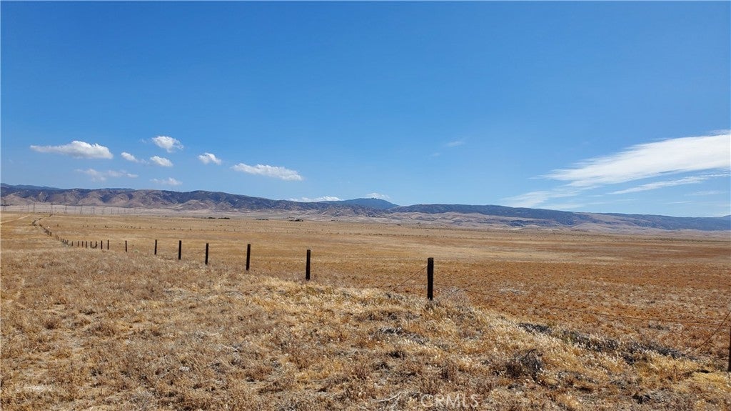 Photo of Listing #SR25215906