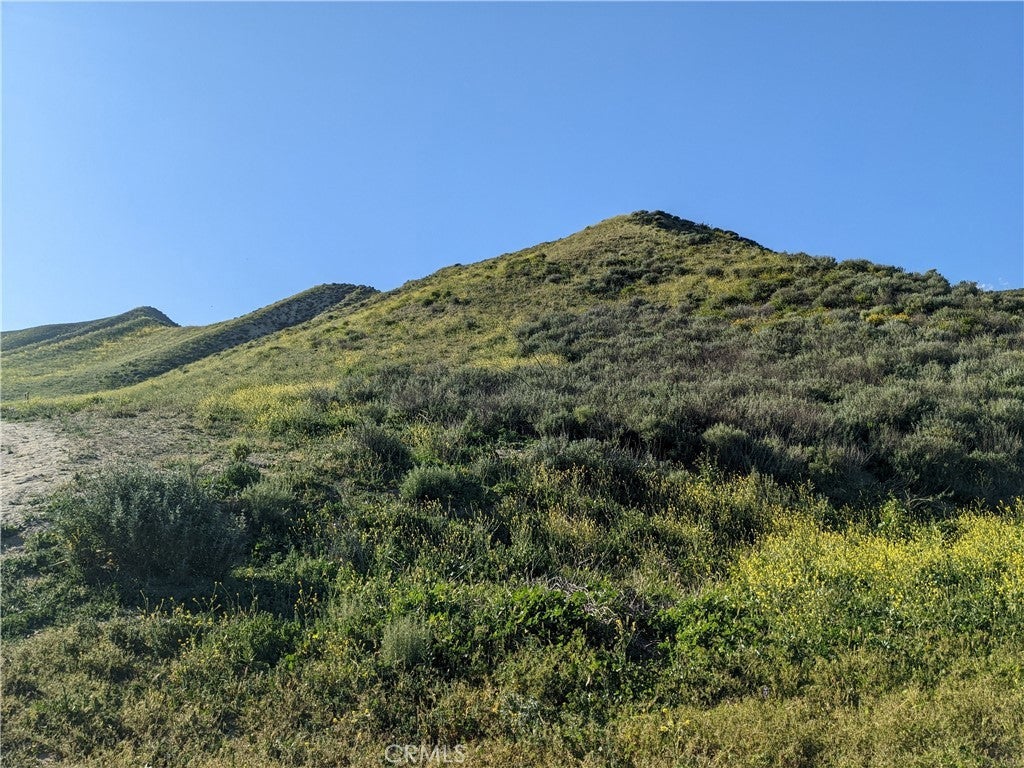 Photo of Listing #SR25214997